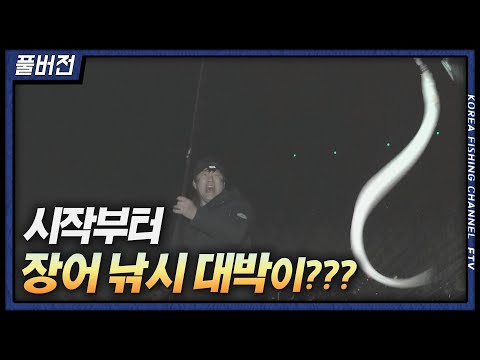 장어인