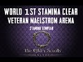 Maelstrom arena vet  world first stamina clear by alcast  eso