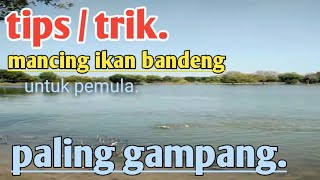 Cara Mancing Ikan Bandeng. Tambak
