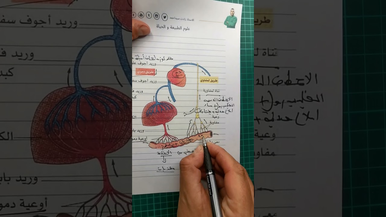 فكرة بنقطة لا تضيعها طريقا نقل المغذيات