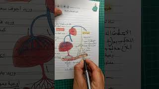 فكرة بنقطة لا تضيعها طريقا نقل المغذيات