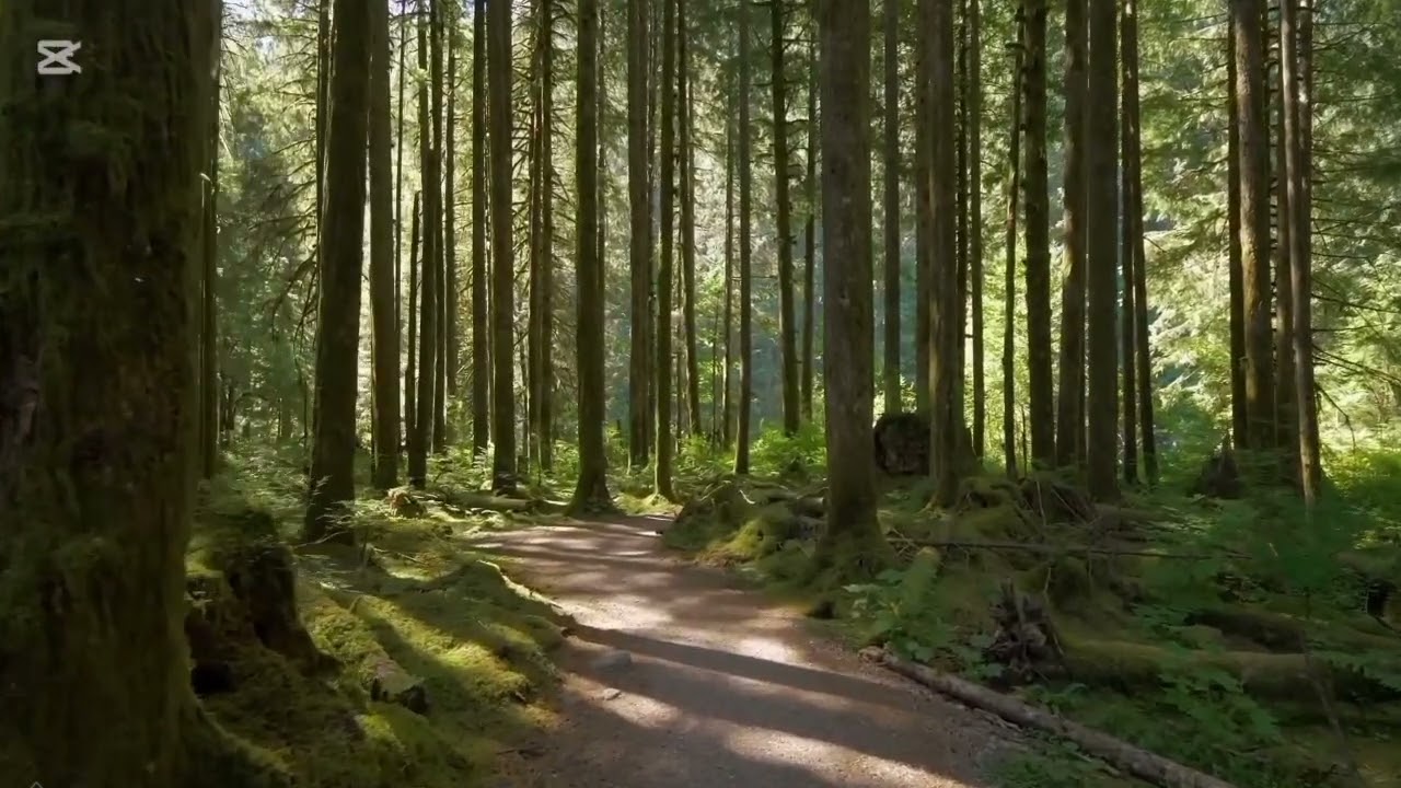 107 قصص عن المستغفرين ترويها ام رفيدة