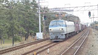 【JR貨物】EF66-111 牽引 81レ     舞子にて撮影