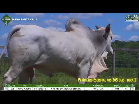 LOTE 022