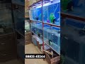 #fish #fishvideo #shortsfeed #shortvideo #subscribe #shorts #short #shortsvideo #shortsviral 🐢🐌