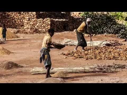Video: Saggio Fotografico: Etiopia - Matador Network