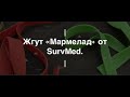 Жгут «Мармелад» от SurvMed. Проект Чистота.