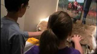 Museum of East Tennessee History