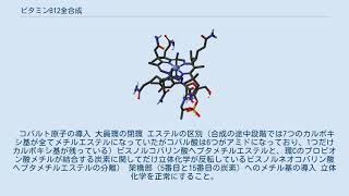 ビタミンB12全合成