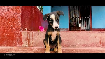 Shot on OnePlus Academy | Goa Edition