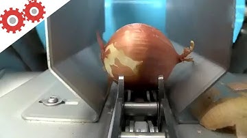 Food Industry Machines Operating at an INSANE LEVEL