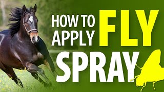 How to Apply Fly Spray to a Horse | Jeffers Equine