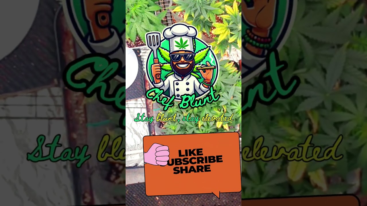 This Is How I Start My Mornings… 🌿☕💨 