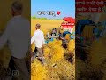 गेहूं काटने की मशीन,