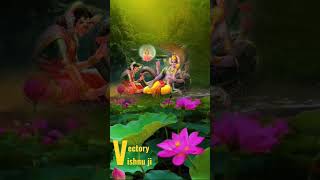 Vishnu shri hari Vectors of universes
