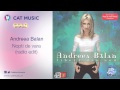 Andreea Balan - Nopti de vara (radio edit)