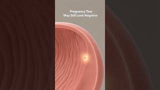 Pregnancy Test May Still Look Negative