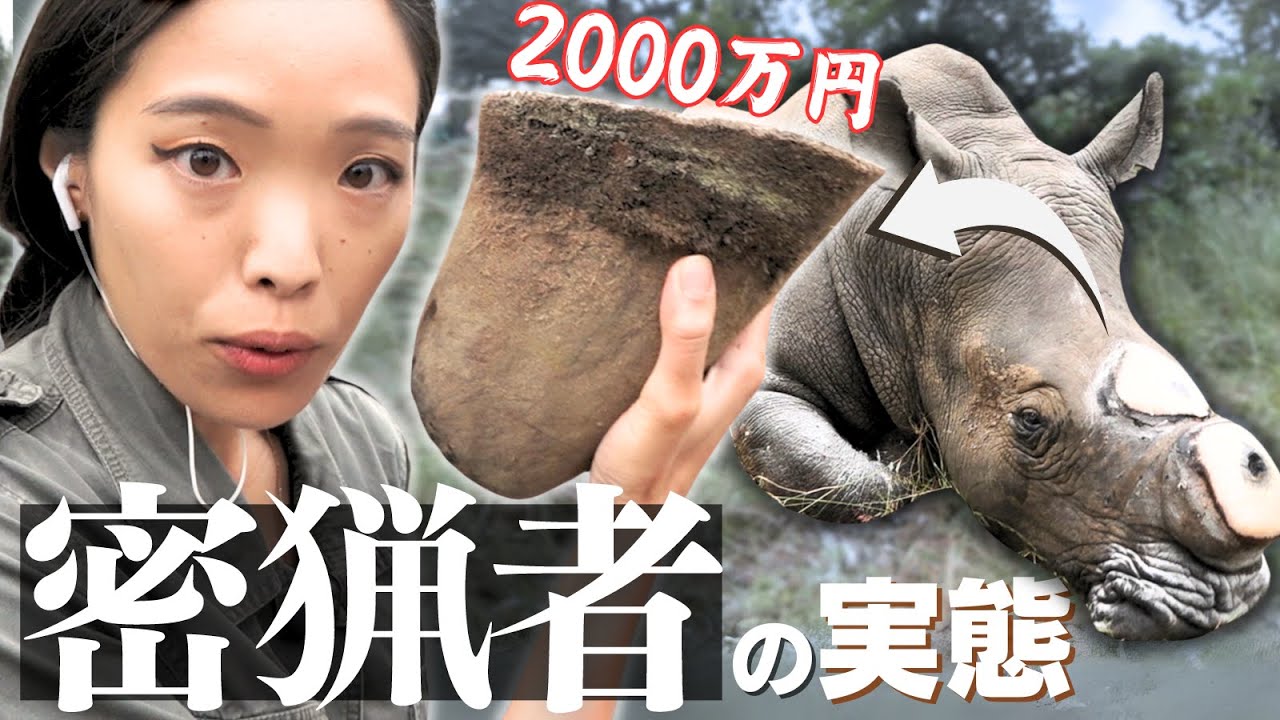 【値引き相談OK】2014ザンビア共和国　絶滅危惧種保護シリーズ　10点 What kind of people are poachers? Why do they persist? A local