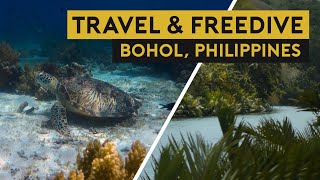 Bohol Philippines (Freedive Panglao, Balicasag, Loboc Lunch Cruise, Tarsier Sanctuary)