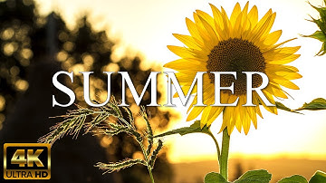 SUMMER 4K - The Relaxing Music With Fresh With Summer Scenery - (4K Video UHD)
