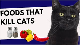 THESE FOODS WILL KILL CATS |AVOID THEM #catviralvideos #catviral #catvideos2024 by Cat Supplies 583 views 7 days ago 6 minutes, 15 seconds