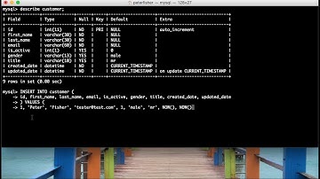 MYSQL Console Tutorial #9 How to insert records into a MYSQL table