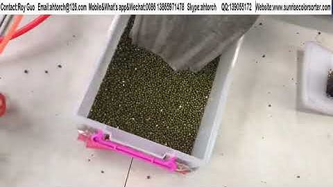 Mung bean color sorting-Mung bean color sorter