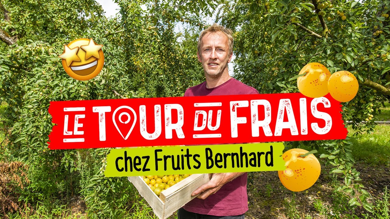 Grand Frais I Le Tour du Frais avec Danielle et Yves de l’exploitation Fruits Bernhard