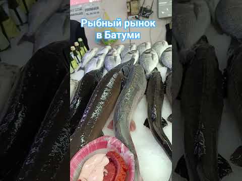 Рыбный рынок в Батуми. 2026 #всевкусымира#туризм # кулинария #путешествияпомиру