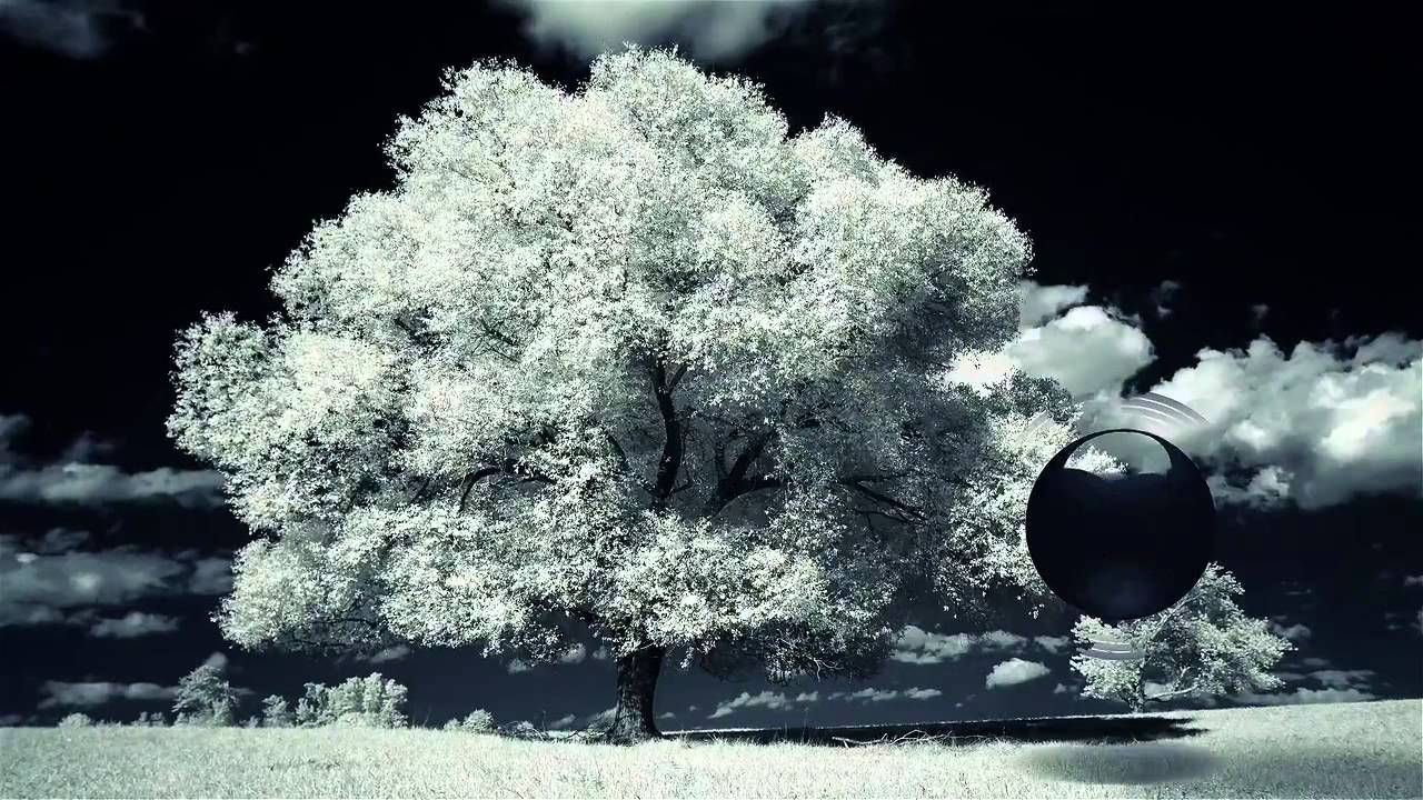 scientific calculator Shadow: Kickstarting A Community Dream Record | Video