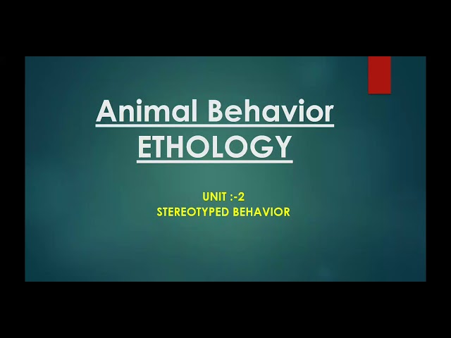 Animal Behavior || Stereotyped Behavior || Orientation || Reflexes - YouTube