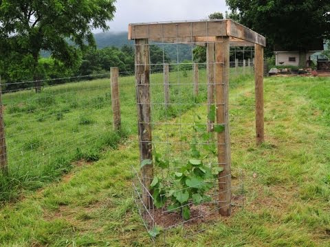 Building a Grape Arbor - YouTube