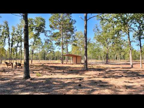 679 Live Oak Dr, Windsor, SC home video tour