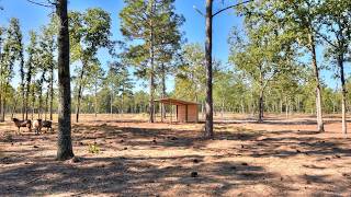 679 Live Oak Dr video tour
