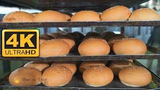 كيفية صناعة الخبز / How to make bread - 4K