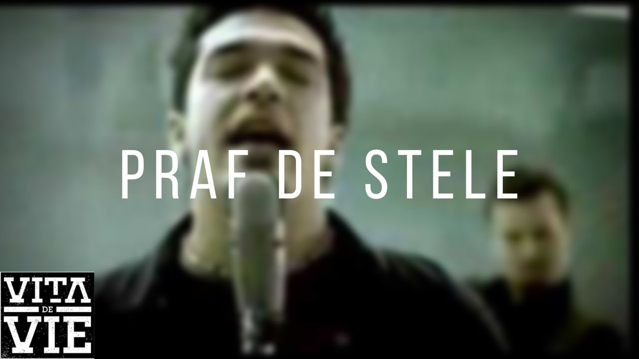 Vita De Vie Praf De Stele