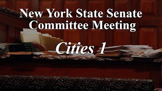 Senate Standing Committee on Cities 1 - 05/21/2024 by NYSenate 33 views 8 days ago 10 minutes, 28 seconds