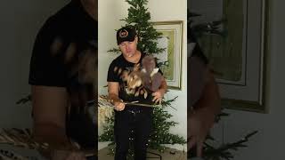 Christmas Tree Decorating Tips / How To Make Floral Clusters/ Ramon At Home Christmas