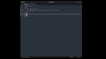 Sublime text editor