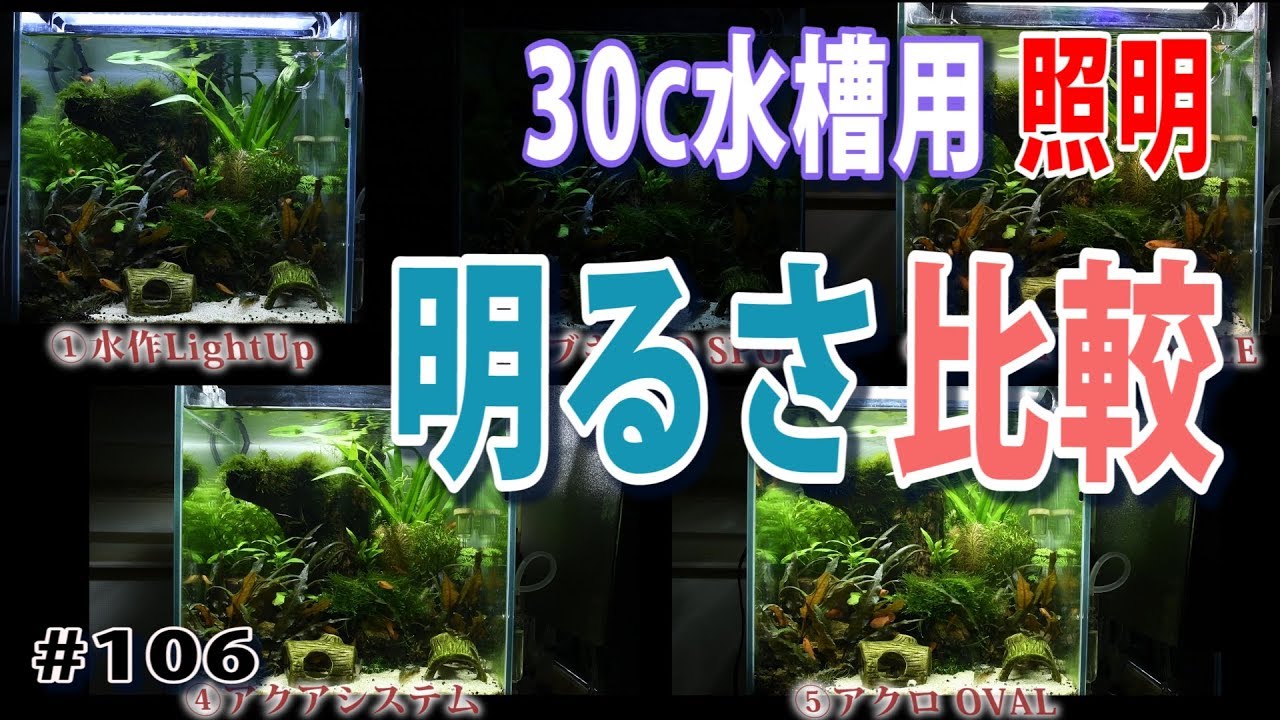 30cm水槽用照明 5機種明るさ比較 水草水槽 熱帯魚 Planted Aquarium Tropical Fish 106 Youtube