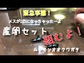 【ムシモンオオクワガタ】産卵セット組みます！【ぴぴんap】