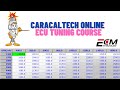 Caracaltech online training