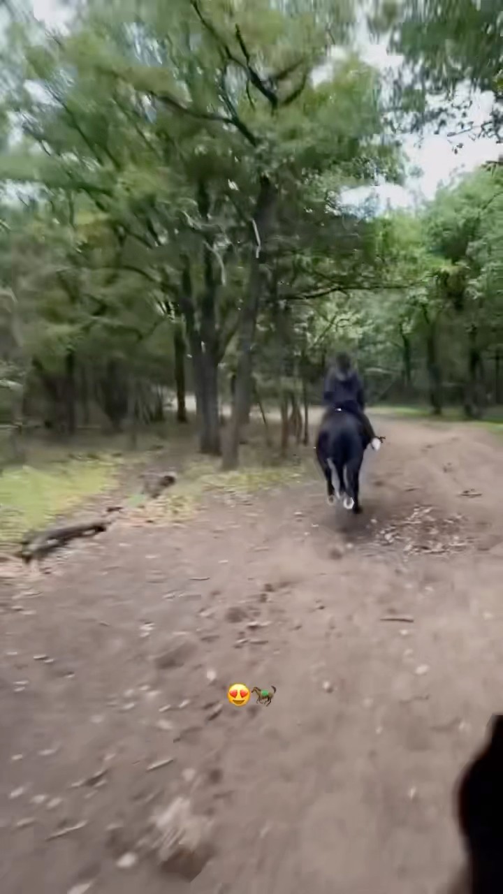 #JasonDeruloTV // Horses ? ? #GotPermissionToPost From IG @jami.oops #SlowLow