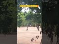 ರನ್ನಿಂಗ್ Live Test Bangalore 📍