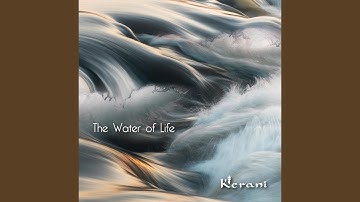 The Fountain of Youth