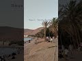 Haqal Beach In Saudi Arabia Lifeinsaudiarabia4849 Neom Makkah Tabukcity Tabuk Haqal Beach In Saudi Arabia Lifeinsaudiarabia4849 Neom Makkah Tabukcity Tabuk