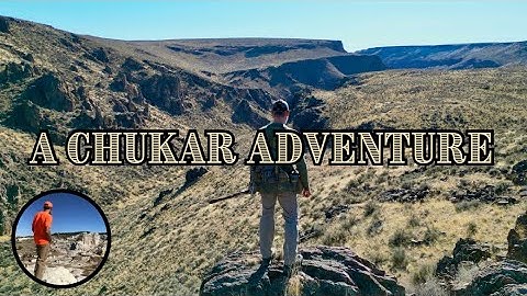 A Chukar Hunting Adventure 2025