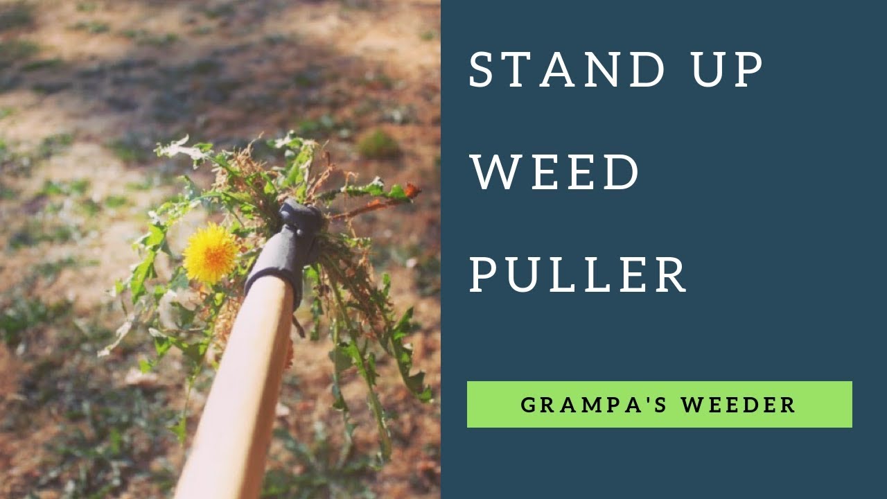 Grampa's Garden Hook - Weed Puller Tool & Gardening Hand Cultivator -  Versatile Tool That Functions as a Cultivator, Hand Tiller, Weeder, &  Edging