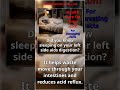 Did you know sleeping on your left side aids digestion?