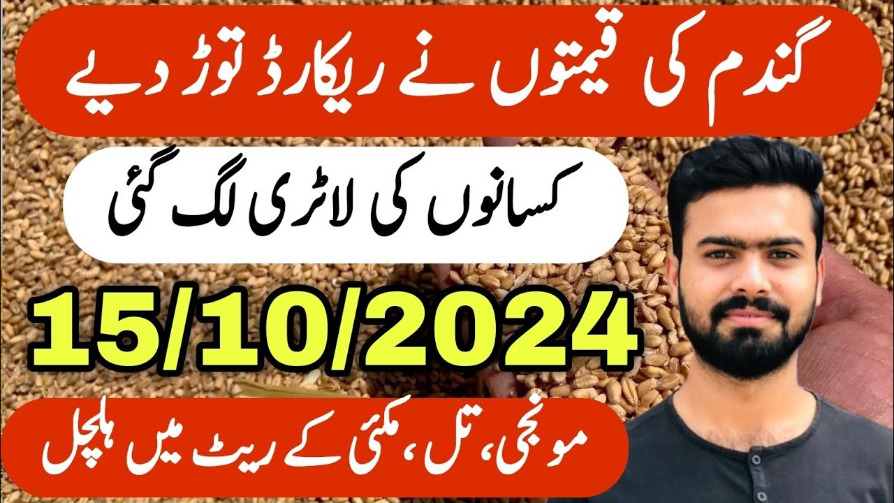wheat-rate-today-in-pakistan-til-makai-kapas-sarson-and-munji-rate